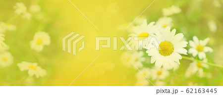 Jasmine flowers on wooden table 62163445