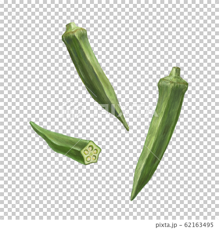 Okra Okra 62163495