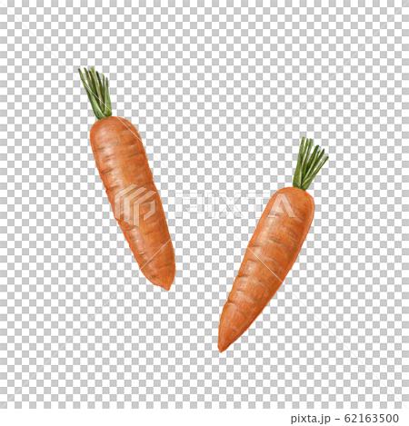Carrots Carrots 62163500