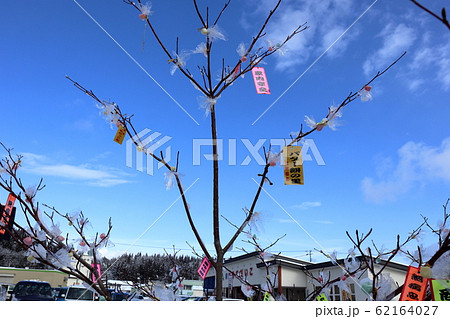 もちっこ市 もちっこ市 62164027