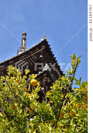 八坂の塔 62164767