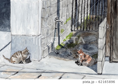 猫のいる街角 62165896
