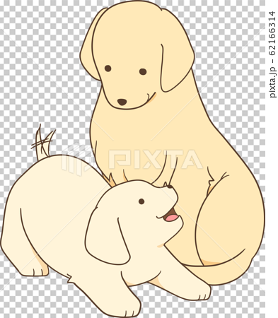 ゴールデンレトリバーの子犬 成犬 親犬と子犬 のイラスト素材