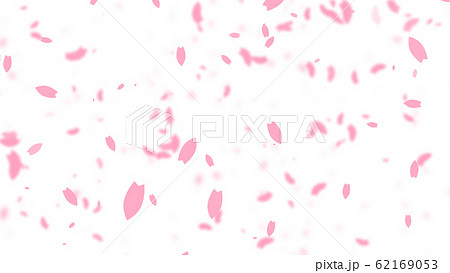 ピンクの桜吹雪パーティクル素材 背景白のイラスト素材