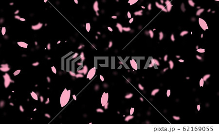 ピンクの桜吹雪パーティクル素材 背景黒のイラスト素材