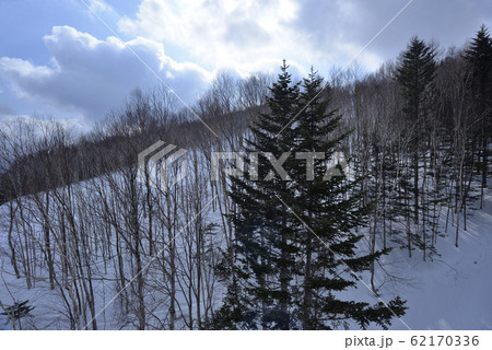 日本 ジャパン 日本国 62170336