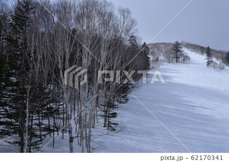 日本 ジャパン 日本国 62170341