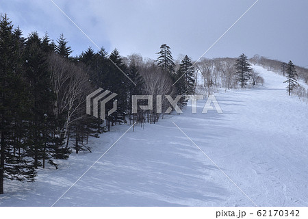 日本 ジャパン 日本国 62170342