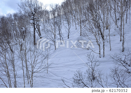 日本 ジャパン 日本国 62170352