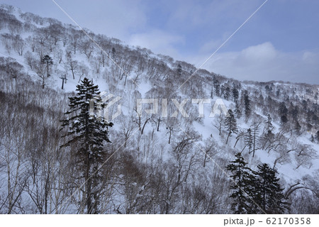 日本 ジャパン 日本国 62170358