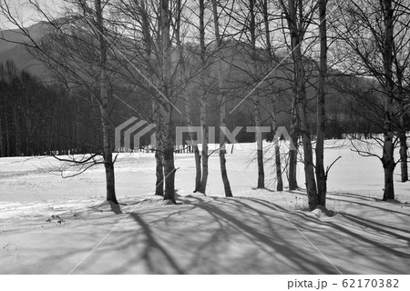 日本 ジャパン 日本国 62170382