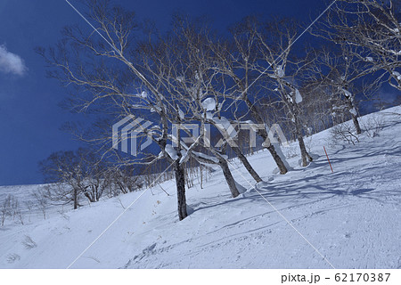 日本 ジャパン 日本国 62170387