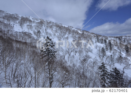 日本 ジャパン 日本国 62170401