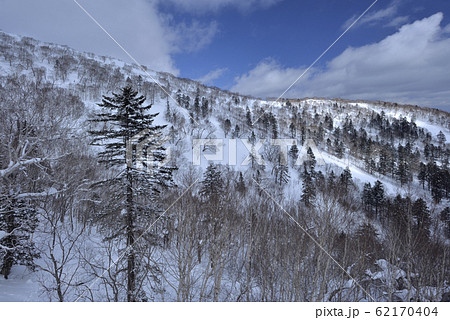 日本 ジャパン 日本国 62170404