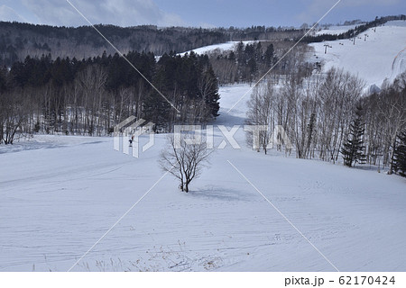 日本 ジャパン 日本国 62170424