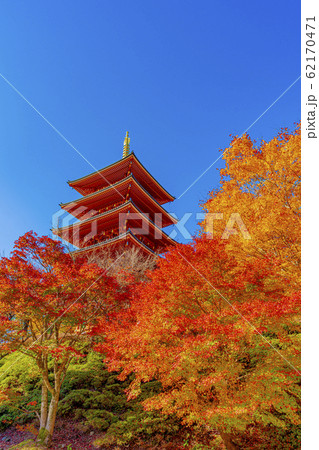 京都 秋の成相寺 京都 秋の成相寺 62170471