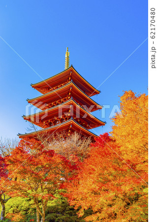 京都 秋の成相寺 京都 秋の成相寺 62170480