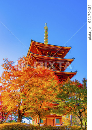 京都　秋の成相寺 62170484