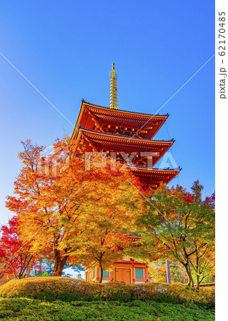 京都　秋の成相寺 62170485