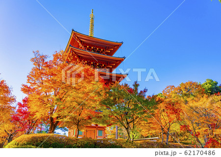 京都　秋の成相寺 62170486