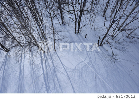 日本 ジャパン 日本国 62170612