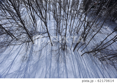 日本 ジャパン 日本国 62170614