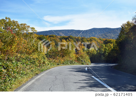 紅葉の八甲田山系 八甲田・十和田ゴールドライン 紅葉の八甲田山系 八甲田・十和田ゴールドライン 62171405