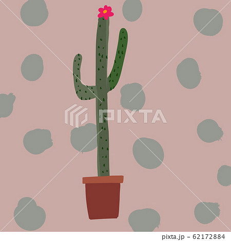 カクタス サボテン 多肉植物 花 背景のイラスト素材