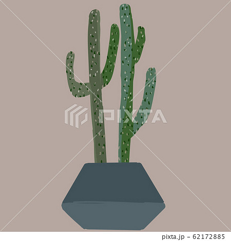 カクタス サボテン 多肉植物 花 背景のイラスト素材