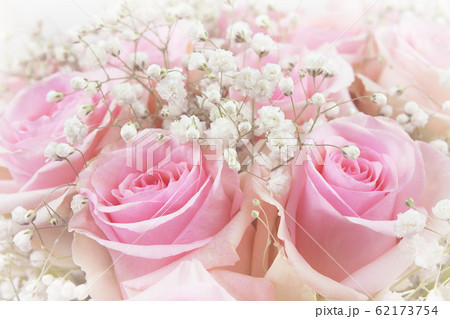 Beautiful pink rose flowers bouquet 62173754