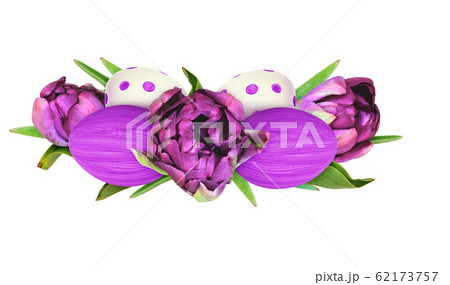 Purple peony tulip flowers and painted eggs in 62173757