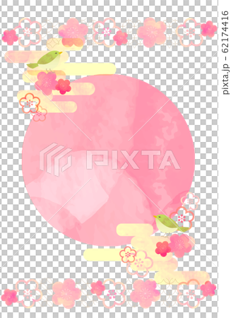 ume, flower, flowers 62174416