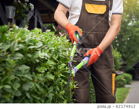 Incognito man cutting overgrown bushes. 62174912