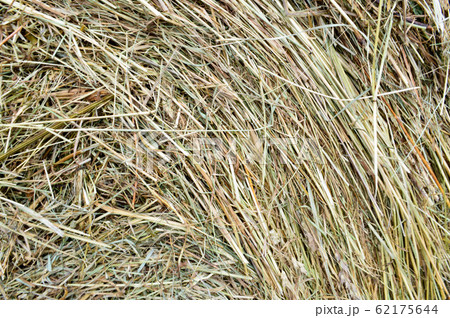 The texture of a round natural dried dry  62175644