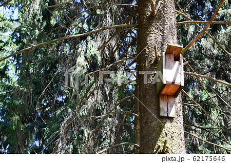 A small wooden birdhouse, a house for birds  62175646