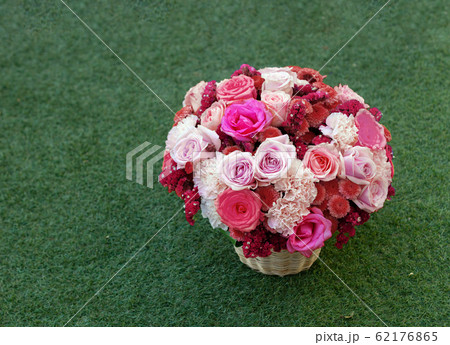 bush of flower in wood rattan basket on white 62176865