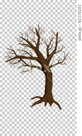 Dead tree Dead tree 62178281