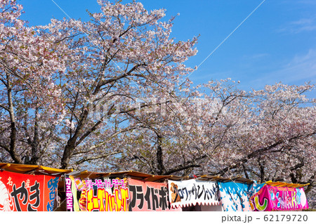 母智丘神社の桜祭り 62179720