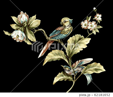 透明水彩 水彩画 花 62181652