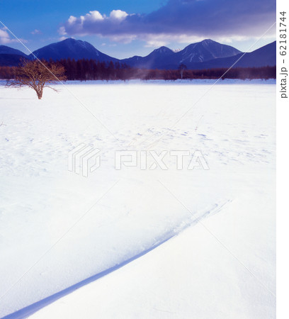 真冬の奥日光小田代ケ原の雪原に竜巻舞う 62181744