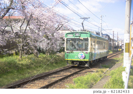 嵐電桜のトンネル 62182433
