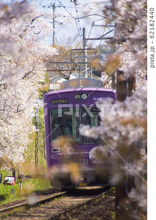 嵐電桜のトンネル 62182440