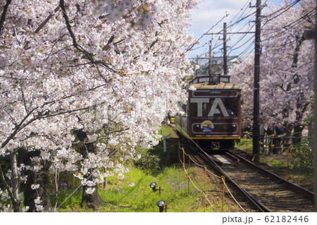 嵐電桜のトンネル 62182446