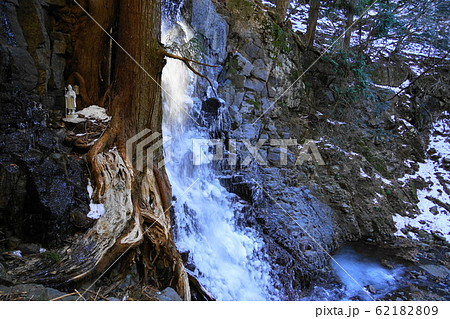 2月 富士河口湖町166氷結した母の白滝・河口浅間神社 2月 富士河口湖町166氷結した母の白滝・河口浅間神社 62182809