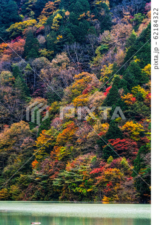 高瀬渓谷の紅葉 高瀬渓谷の紅葉 62184322