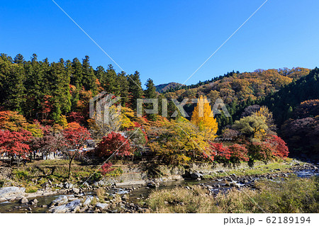 早朝の紅葉 愛知県香嵐渓 早朝の紅葉 愛知県香嵐渓 62189194
