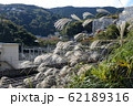 熱海線路沿いのススキ 62189316