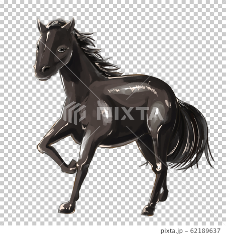 馬（黒）のイラスト素材 [62189637] - PIXTA
