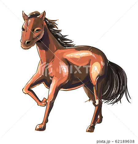 馬（茶色）のイラスト素材 [62189638] - PIXTA