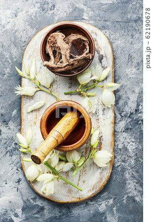 Yucca flowers in medicine. Yucca flowers in medicine. 62190678